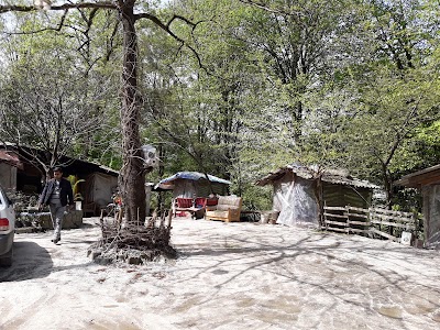 Photos of کافه برادران فلاحی