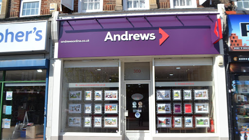 Andrews Orpington