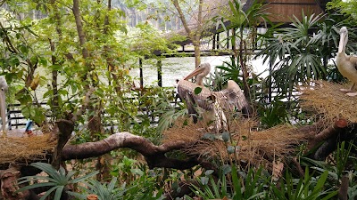 Photos of Chimelong Resort