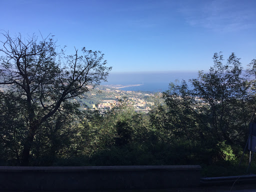 Neurolesi - Visual