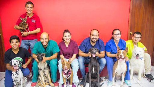 Clínica Veterinaria Muñoz