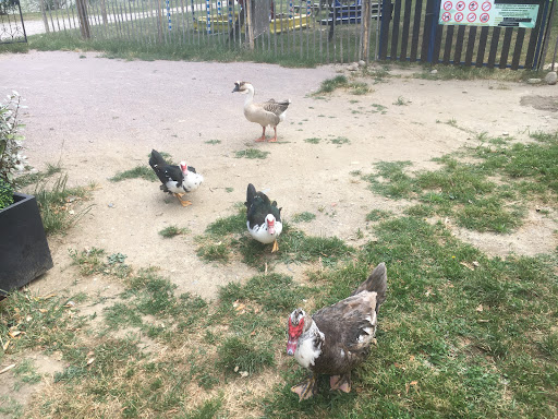 Photo 2 - Le parc de l’encas d’aqui