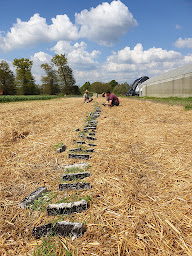 Photo n°2 de Ferme de la Touche Audienne à Laillé (Ferme bio)