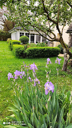 Photo n°29 de Le Clos Du Verger à Cattenom (Maison d'hôtes)