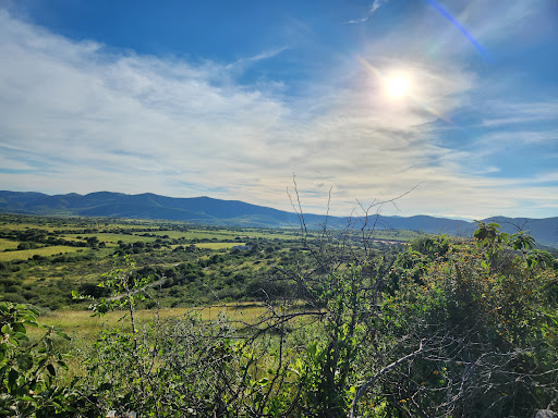 Panteón Cañada de Pastores