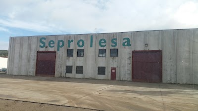 grocery-or-supermarket