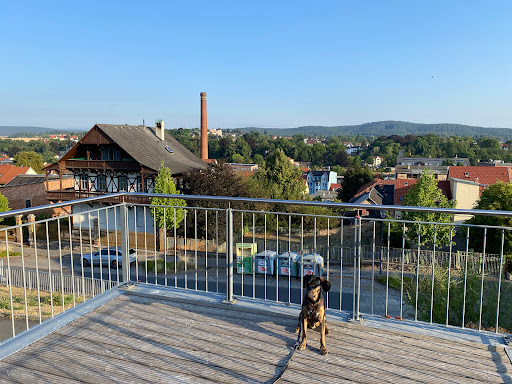 Erlebnispark Alte Molkerei - Thumbnail