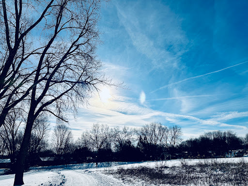 Marlborough Park - Thumbnail