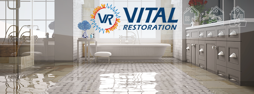 Vital Restoration photo