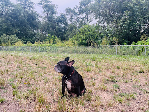 Fortuna Dog Park - Thumbnail
