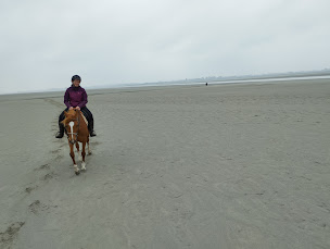 Photo n°6 de le riage à Genêts (Centre de randonnée équestre)