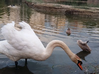 Zoological Park of Tirana