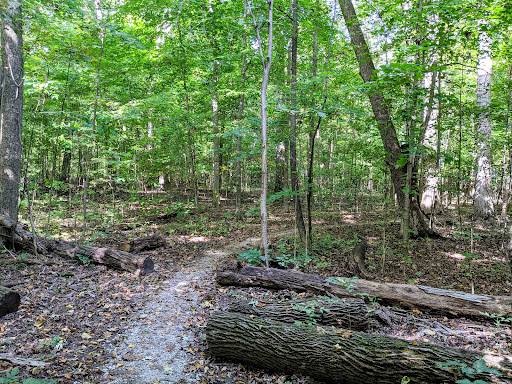 Baker Woods - Visual