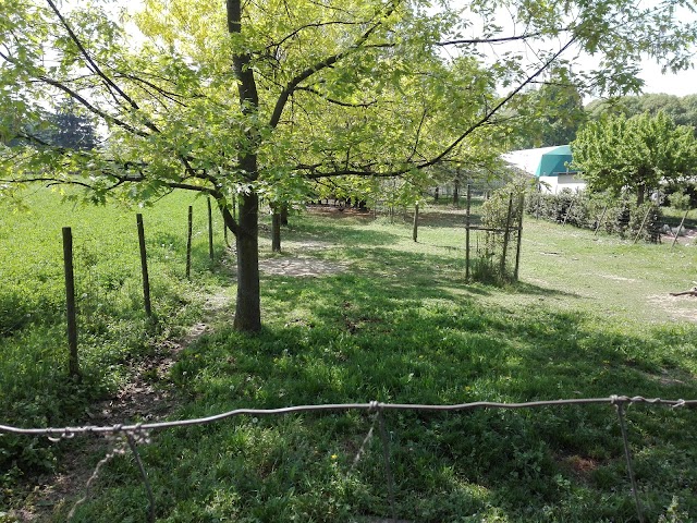 Villa Crivelli detta Pusterla