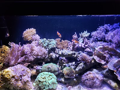 The Estuarium at Dauphin Island Sea Lab