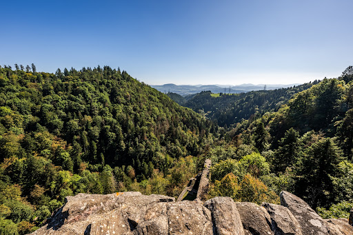 Grafschaft Hauenstein - Thumbnail