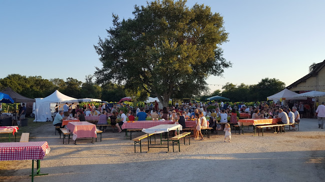 3850 Route d’Estang, 40240 Labastide-d'Armagnac