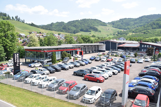 Autohaus Frascoia GmbH & Co. KG