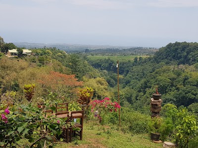 Photos of Emy Cafe and Guesthouse