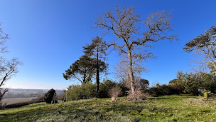 Photo n°45 de La Métairie de Moutiques à Cazaubon (Maison d'hôtes)