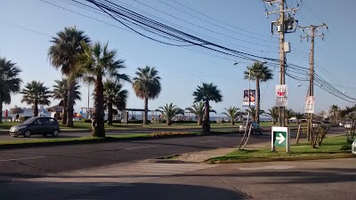 Photos of Pronto