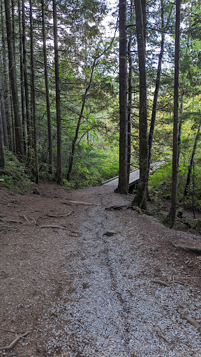 Rolley Lake Trail - Thumbnail