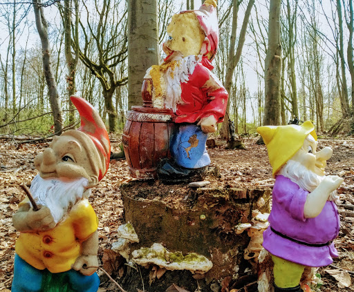 Kabouterbos - Visual