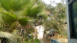 Peru Cycling 3