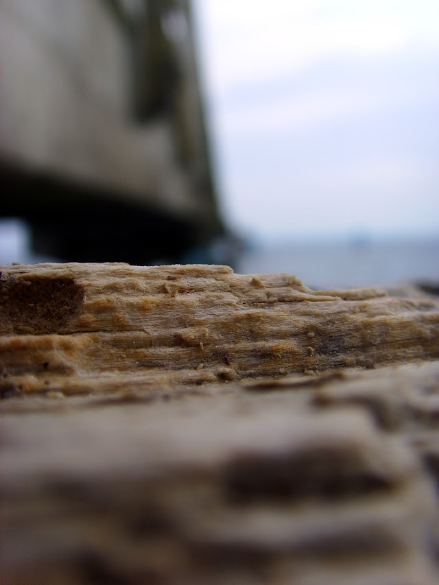 Seebrücke Sassnitz