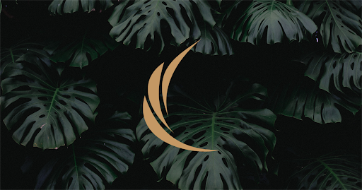 MyMovement - Visual