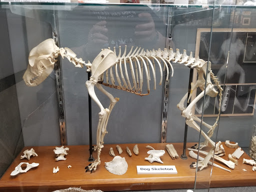 Missouri Veterinary Medical Assn. - Thumbnail