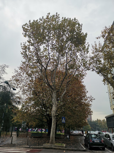 Via Marelli Via Cavallotti (Sesto S.G.)