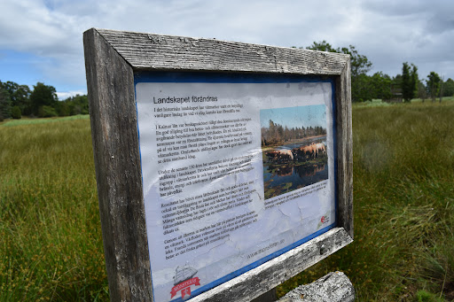 Fågeltorn Kronobäck Gallery - Sweden