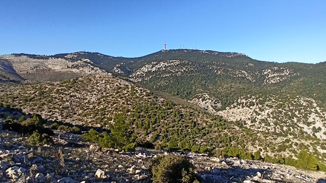Αξιολογήσεις για το Δασόκτημα Τατοΐου στην Κηφισιά - Αλλος