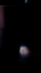 Photo n°8 de Black & White Burger Albi à Albi (Restaurant végétarien)