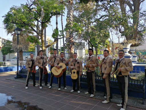 Mariachi Alma Campirana.