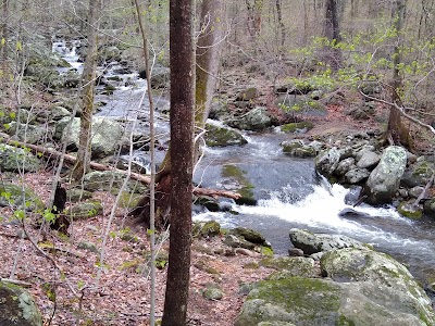 Hazel River Trailhead