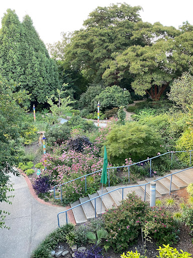 JC Raulston Arboretum