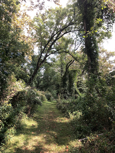 Walnut Island River Park Gallery - United States