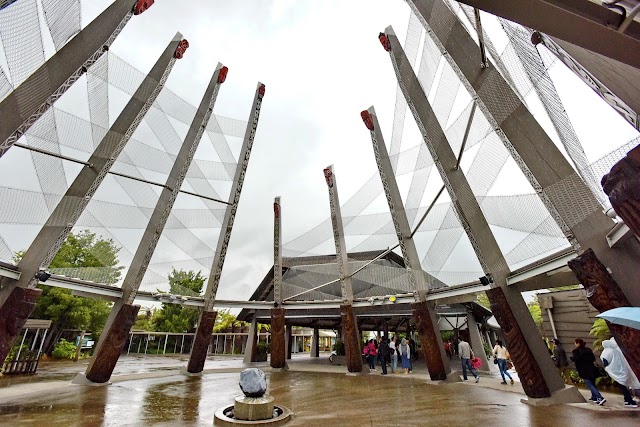 Geothermal Valley Te Puia