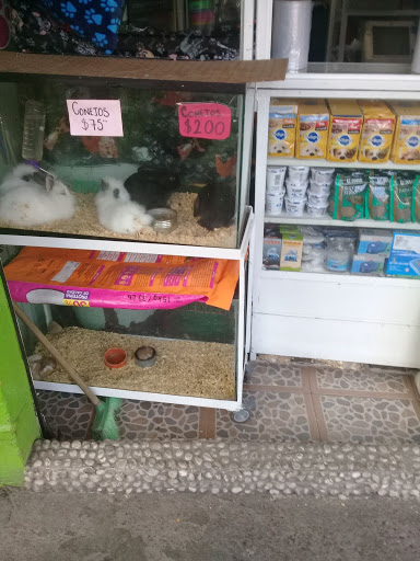 Veterinaria Mundo Animal