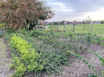 Pépinière Cambium à Sainghin-en-Weppes