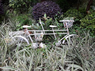 Photos of Tianmahe Park