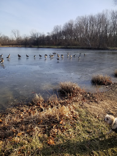 Three Creeks Metro Park Gallery - United States