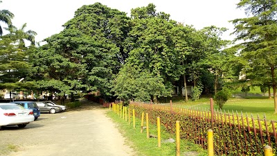 Photos of UBA Park, University of Lagos