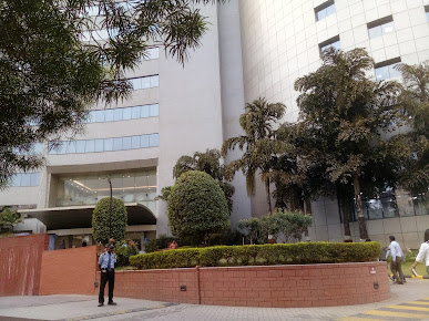 Af1qipmlydijll1to80woaeyhempsmarca0zwc U8so4=s387 K No