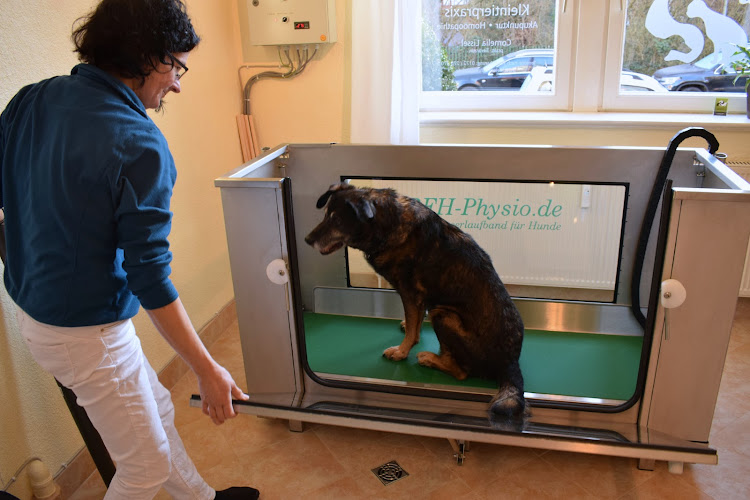 Ganzheitliche Kleintierpraxis Cornelia Lissel photo