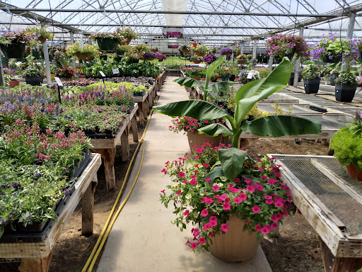 Burlington Garden Center Gallery - United States