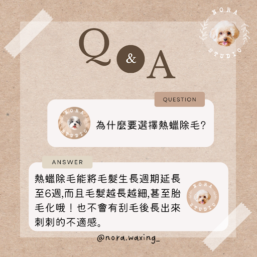 Nora Studio 評價、價格、網友推薦資訊 - 細心除毛與親切服務