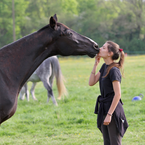 La Vie & Pattes - Pet-sitter Angers (49)